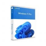 Microsoft Windows 11 Pro for Workstations 1 license(s) HZV-00101