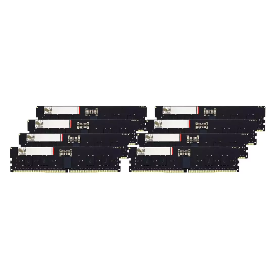G5 Neo DDR5 384GB (8x48GB) Memory Kit F5-6000R3036G48GE8-G5N G.SKILL