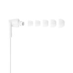 Belkin SoundForm USB-C Wired Earbuds - White (G3H0002FQWHV2), Adjustable Volume Limiter, IPX5-Rated, 10mm Drivers, Tangle-Free, 2 Years Warranty - Image 3