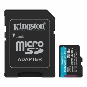 Canvas Go! Plus microSD Memory Card - SDCG4/256GB