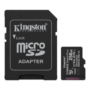 Canvas Select Plus microSD Memory Card - SDCS3/256GB