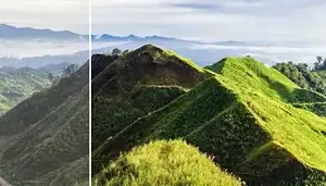 Philips 24E1N1200A/75 60.5 cm (23.8) E Line Full HD WLED LCD Monitor