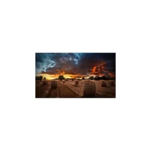 Samsung VM55B-U 55" LCD Digital Signage Display-LH55VMBUBGBXXY