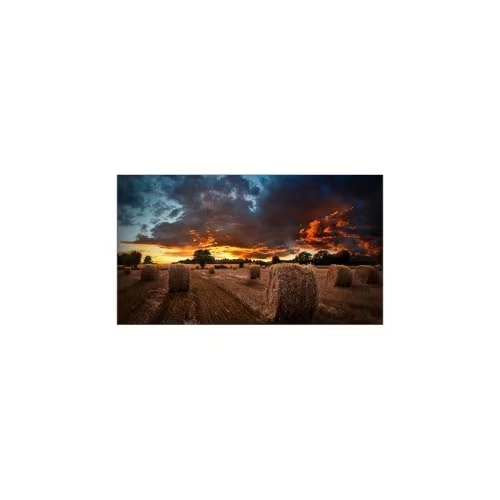 Samsung VM55B-U 55" LCD Digital Signage Display-LH55VMBUBGBXXY