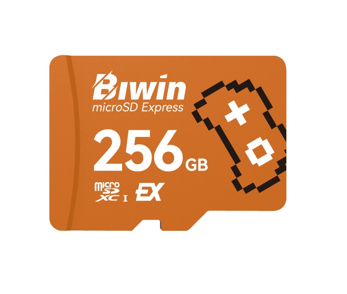BIWIN ME300-256G microSD-BAME300256G-RGX