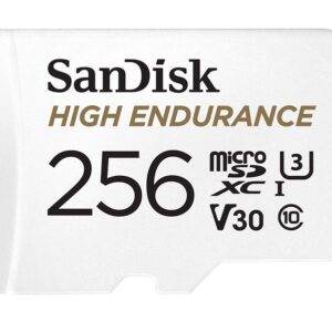 SanDisk High Endurance 256GB UHS-I Class 10 U3 V30 4K UHD microSD Card-SDSQQNR-256G-GN6IA
