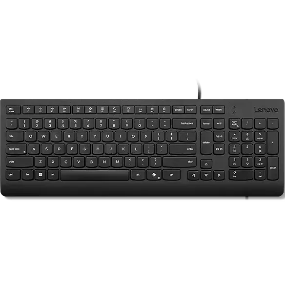 Lenovo Essential Wired Keyboard AI - 4Y41R64633