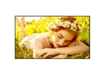 Lg Digital Display (UL5Q) 50" UHD - 50UL5Q-M