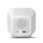 Philips Digital Alarm Clock Radio With USB Charge-TAR4406/79