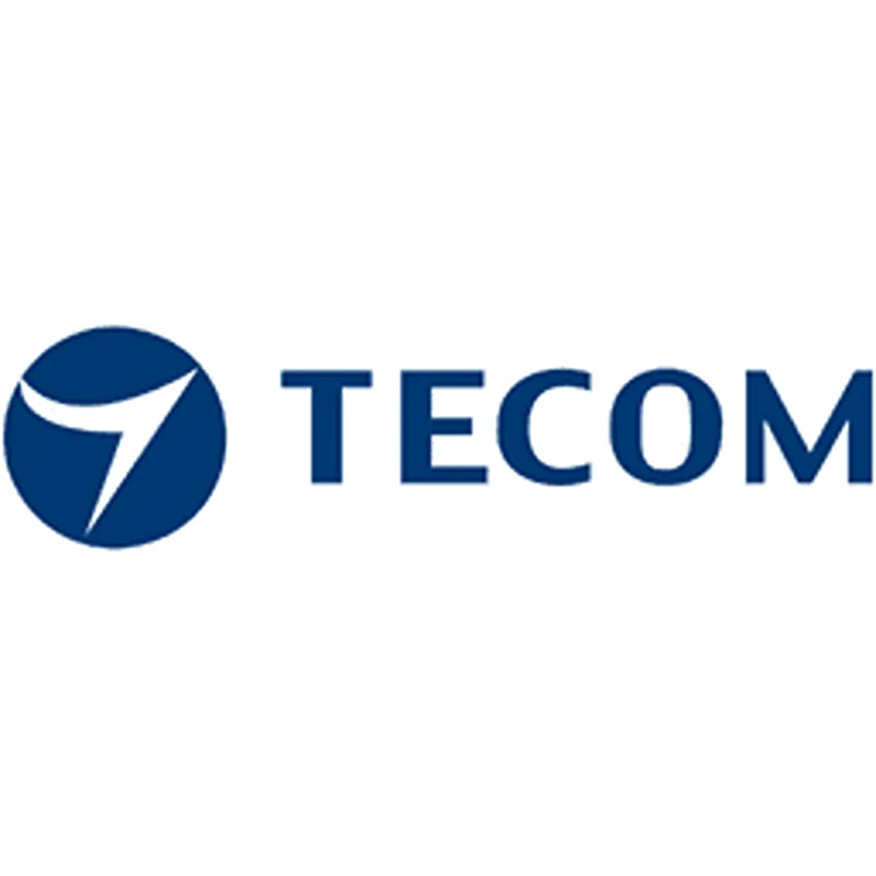Tecom S1090 Hitag 2 Clam Shell Card - TS1175