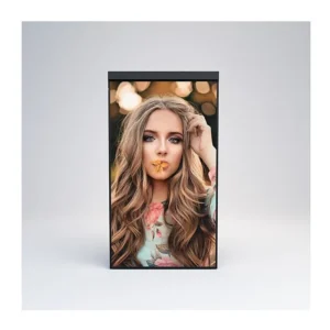 Mitsumaru 65" 2500nit Portrait Only Window Signage Display-65MISW25FA