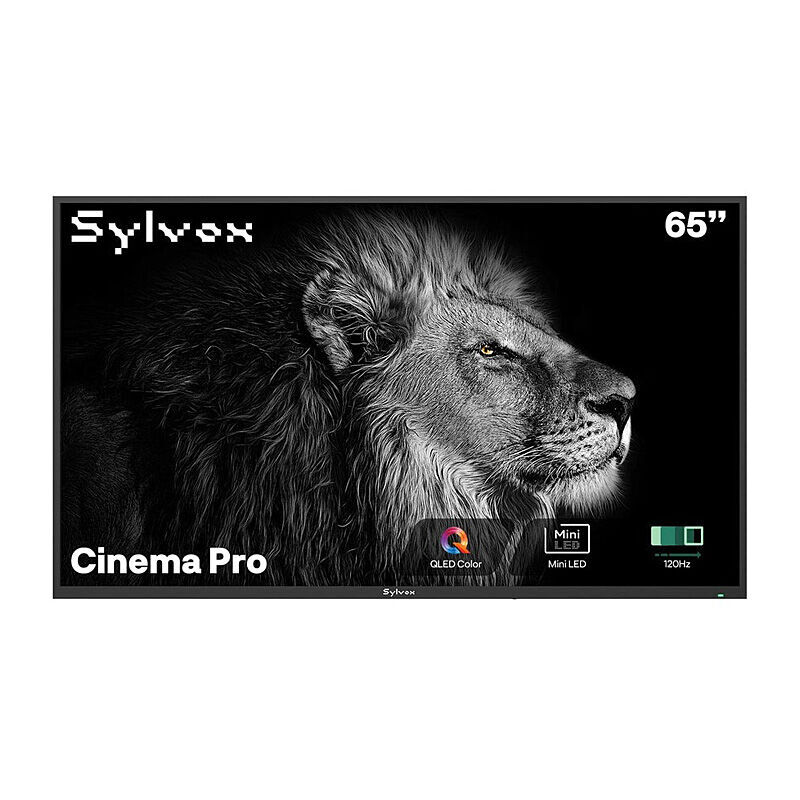 Sylvox Cinema Pro 65″ Helio QLED Outdoor TV-OQ65A3KOHJ…