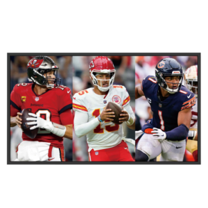 Mitsumaru 75” Outdoor TV IP65-75OTV20H…